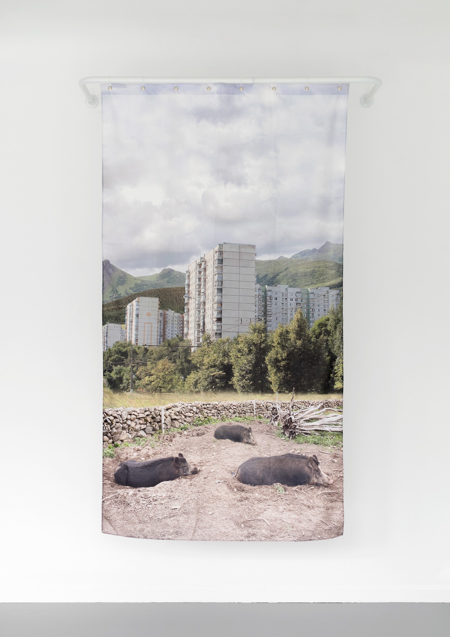 Ecotone 2